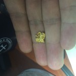 Lion Lapel pin 